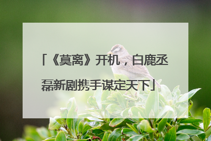 《莫离》开机，白鹿丞磊新剧携手谋定天下