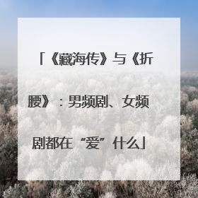 《藏海传》与《折腰》：男频剧、女频剧都在“爱”什么