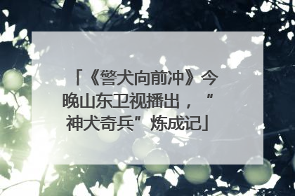 《警犬向前冲》今晚山东卫视播出，“神犬奇兵”炼成记