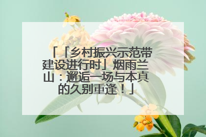 「乡村振兴示范带建设进行时」烟雨兰山：邂逅一场与本真的久别重逢！