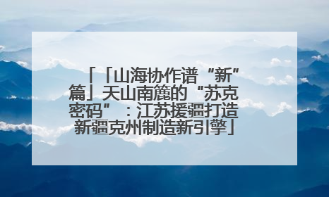 「山海协作谱“新”篇」天山南簏的“苏克密码”：江苏援疆打造新疆克州制造新引擎