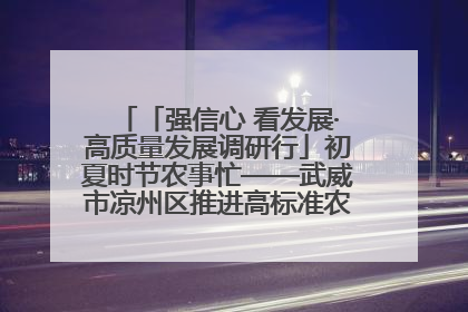 「强信心 看发展·高质量发展调研行」初夏时节农事忙——武威市凉州区推进高标准农田建设见闻