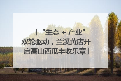 “生态 + 产业”双轮驱动，兰溪黄店开启高山西瓜丰收乐章
