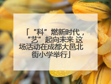 “科”燃新时代，“艺”起向未来 这场活动在成都大邑北街小学举行