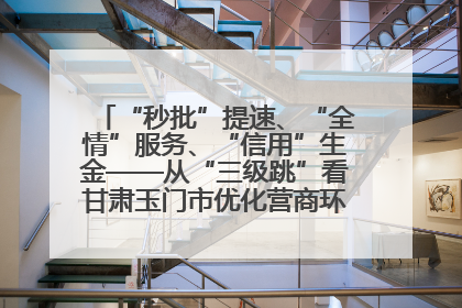 “秒批”提速、“全情”服务、“信用”生金——从“三级跳”看甘肃玉门市优化营商环境的进阶之路