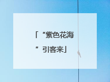 “紫色花海”引客来