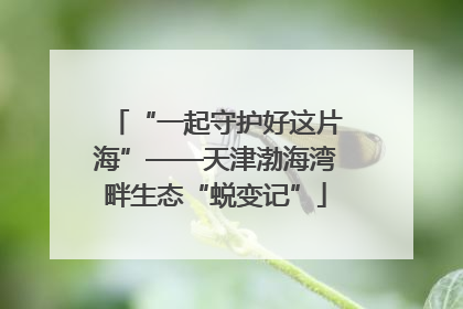 “一起守护好这片海”——天津渤海湾畔生态“蜕变记”