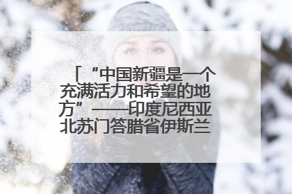 “中国新疆是一个充满活力和希望的地方”——印度尼西亚北苏门答腊省伊斯兰教代表团参访新疆
