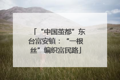 “中国茧都”东台富安镇：“一根丝”编织富民路