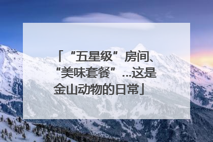 “五星级”房间、“美味套餐”…这是金山动物的日常