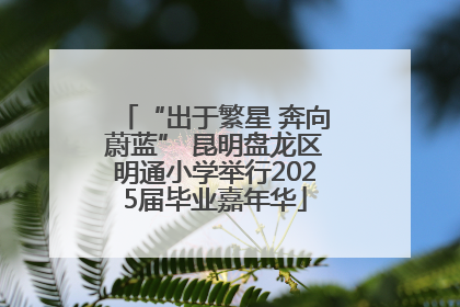 “出于繁星 奔向蔚蓝” 昆明盘龙区明通小学举行2025届毕业嘉年华