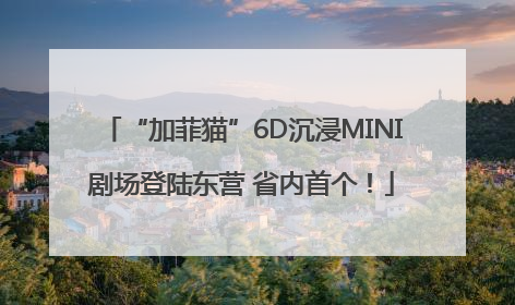 “加菲猫”6D沉浸MINI剧场登陆东营 省内首个！