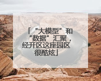 “大模型”和“数据”汇聚，经开区这座园区很酷炫