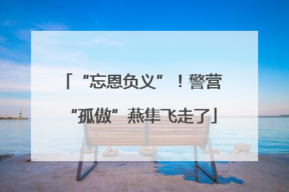 “忘恩负义”！警营“孤傲”燕隼飞走了