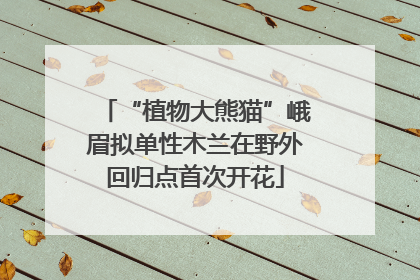“植物大熊猫”峨眉拟单性木兰在野外回归点首次开花