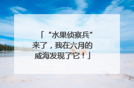 “水果侦察兵”来了，我在六月的威海发现了它！