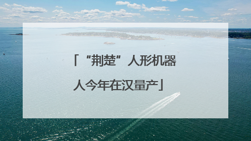 “荆楚”人形机器人今年在汉量产
