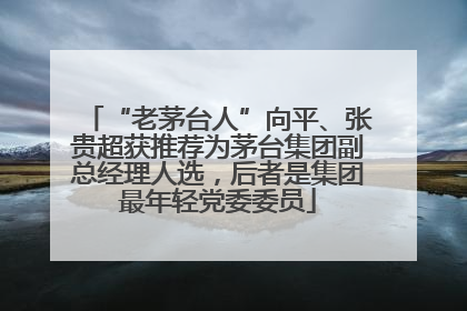 “老茅台人”向平、张贵超获推荐为茅台集团副总经理人选，后者是集团最年轻党委委员