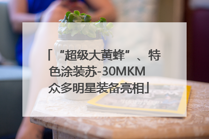 “超级大黄蜂”、特色涂装苏-30MKM 众多明星装备亮相