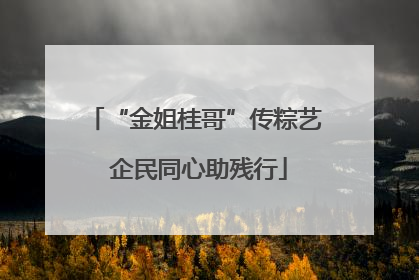 “金姐桂哥”传粽艺 企民同心助残行