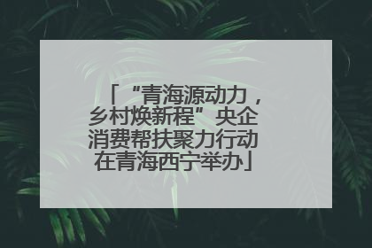 “青海源动力，乡村焕新程”央企消费帮扶聚力行动在青海西宁举办