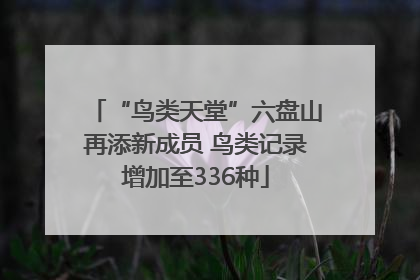 “鸟类天堂”六盘山再添新成员 鸟类记录增加至336种