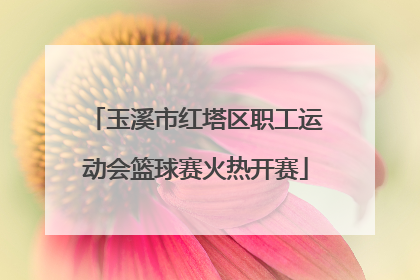 玉溪市红塔区职工运动会篮球赛火热开赛
