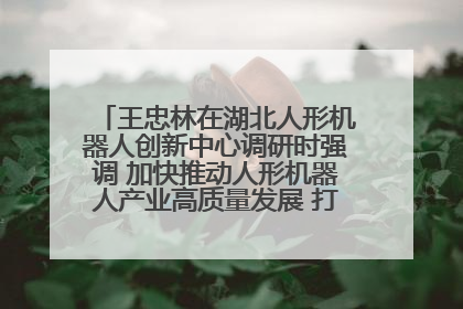 王忠林在湖北人形机器人创新中心调研时强调 加快推动人形机器人产业高质量发展 打造具有全国影响力的研发创新基地