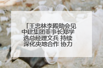 王忠林李殿勋会见中建集团董事长郑学选总经理文兵 持续深化央地合作 协力推动支点建设