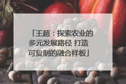 王超：探索农业的多元发展路径 打造可复制的融合样板