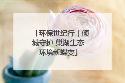 环保世纪行｜倾城守护 巢湖生态环境新蝶变