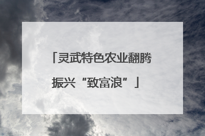 灵武特色农业翻腾振兴“致富浪”