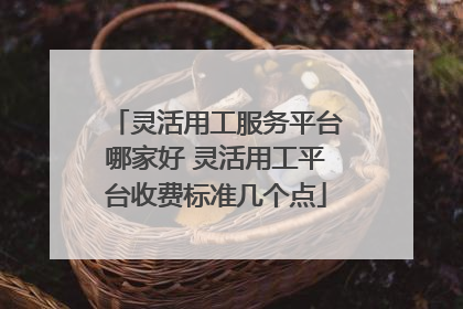 灵活用工服务平台哪家好 灵活用工平台收费标准几个点