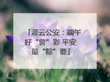 灌云公安：端午好“警”彩 平安最“粽”要