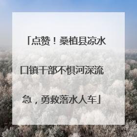 点赞！桑植县凉水口镇干部不惧河深流急，勇救落水人车