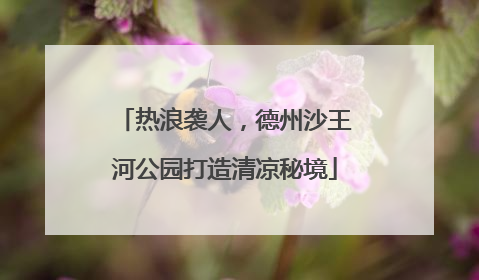 热浪袭人，德州沙王河公园打造清凉秘境