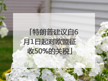 特朗普建议自6月1日起对欧盟征收50%的关税