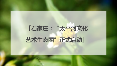 石家庄：“太平河文化艺术生态圈”正式启动