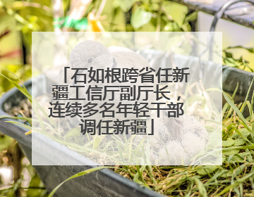 石如根跨省任新疆工信厅副厅长，连续多名年轻干部调任新疆