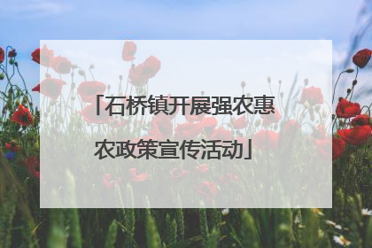 石桥镇开展强农惠农政策宣传活动