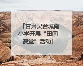 甘肃灵台城南小学开展“田间课堂”活动