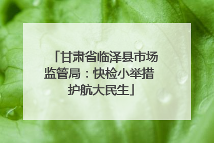 甘肃省临泽县市场监管局：快检小举措 护航大民生