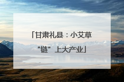 甘肃礼县：小艾草“链”上大产业