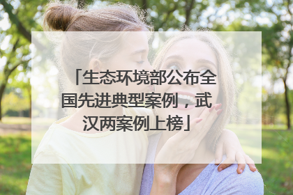 生态环境部公布全国先进典型案例，武汉两案例上榜