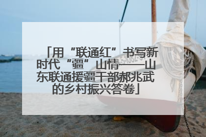 用“联通红”书写新时代“疆”山情——山东联通援疆干部郝兆武的乡村振兴答卷