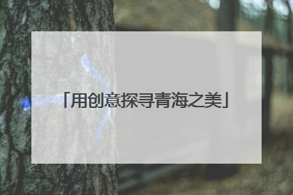 用创意探寻青海之美