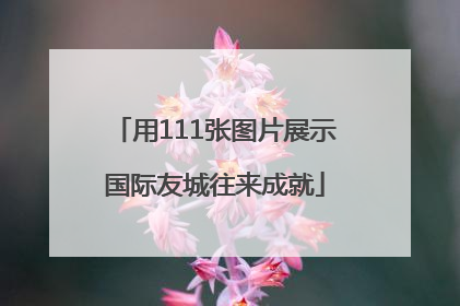 用111张图片展示国际友城往来成就
