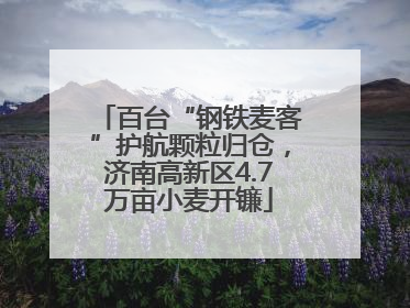 百台“钢铁麦客”护航颗粒归仓，济南高新区4.7万亩小麦开镰