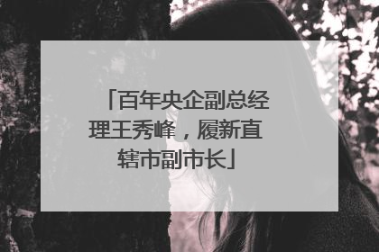 百年央企副总经理王秀峰，履新直辖市副市长