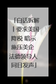 白话拆解丨要求美国降税 暗示施压美企 法德领导人同日发声